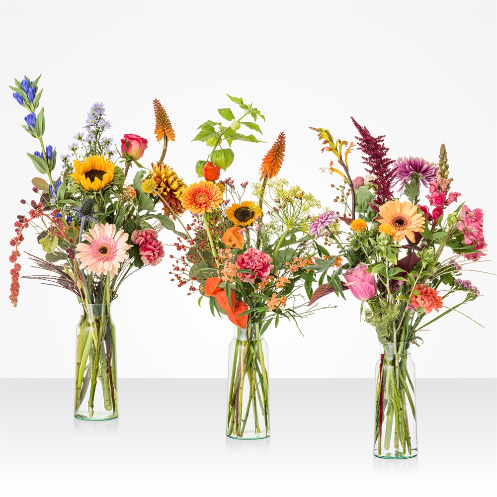 Seizoensverrassing Seizoensverrassing